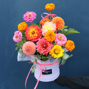 Hat Box | New Year Cheer