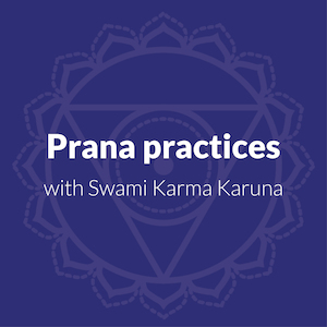 Prana Practices