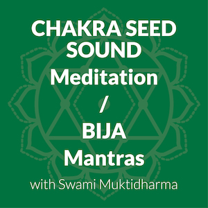 Meditation On Chakra Seed Sounds/Bija Mantras