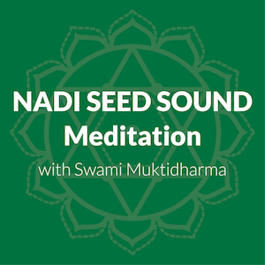 Meditation On The Nadi Seed Sounds