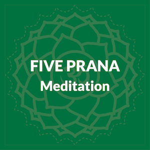 Five Prana Meditation