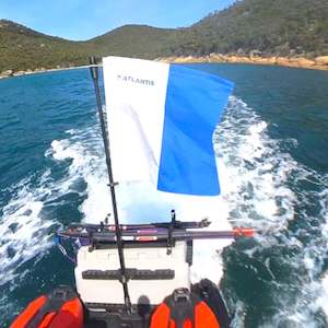 Diving Flag/Light Pole Rail Blaza mini port for the Seadoo-- Linq Cooler