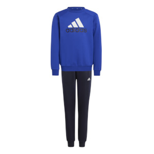 Adidas Essentials Big Logo Fleece Jogger Set Kids IV7307