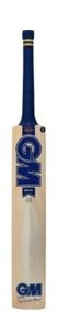 GM Brava Premier Junior Bat – GMAB2S454