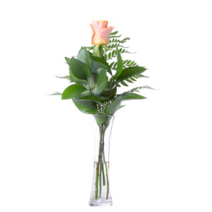 Anniversary: First Lady