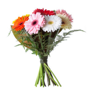 Bud Vase Pink Gerbera