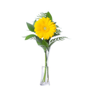 Anniversary: Bud Vase Hot Pink Gerbera