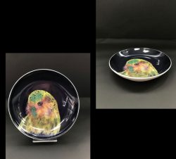 Products: Bird Trinket Dishes: Tui, Kiwi, or Kakapo