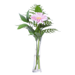 Products: Peter Rabbit