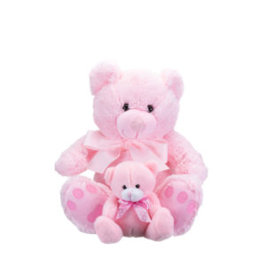 Products: Blue Earth Mother & Baby Box