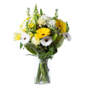 Birthday: Book : The Abundant Garden