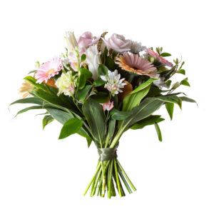 Birthday: Cheese Bakers