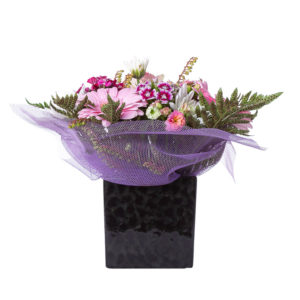 Birthday: NZ Life & Leisure Magazine