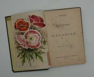 Vibrant hand painted illustrations in Vick's Illustrated Monthly Magazine from 1890