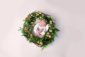 Products: Fresh Flower Wreath Angela Scott Photography