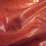 Products: Zenia Leotard