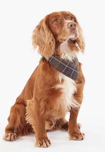 Pet Accessories: Tartan Dog Bandana - Classic Tartan