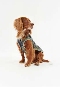 Pet Accessories: Tartan Waterproof Dog Coat - Classic