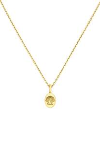 Secret Society of Shell Lovers Necklace