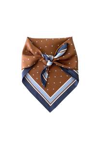 The Borey Petite Silk Scarf