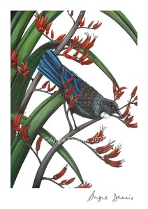 Tui on Flax