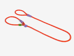 Dog And Puppy Leads: Zee Dog Slip-N-Lock  Leash - Everest