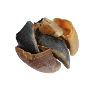 Dog And Puppy Treats: Beef Hoof