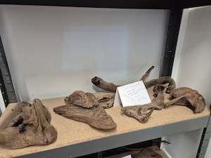 Fish Tanks: Driftwood size M - in store only