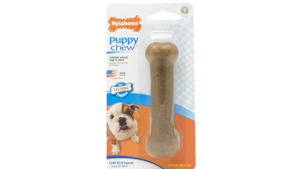 Dog: Nylabone Puppy Bone