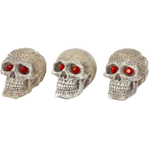 Skull-Gazers - Assorted Styles -