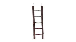 Bird Accessories: Natural Bird Ladder
