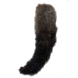Dogs: Possum Tails