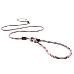 Dogs: Luca Leash Lite