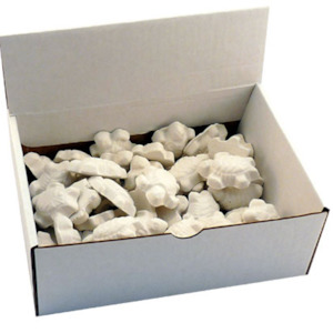 Reptiles: Turtle Mini Blocks