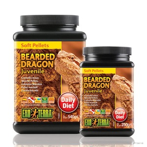 Adult Bearded Dragon Food
