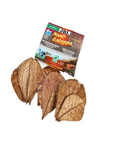 Fish Food: Nano Catappa