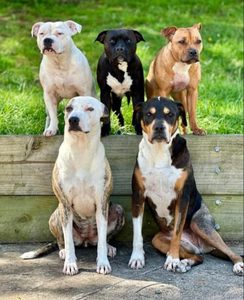 Welcome to the Bowen Therapy