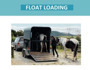 Products: Horse Saddle Fitting Info Pack