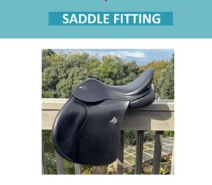 Products: Horse Float Loading Info Pack