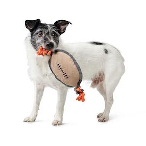 Products: Rugby Ball Dog Toy