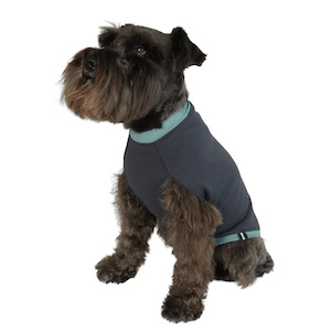 Products: Vermont Charcoal 100% Merino Dog Jumper