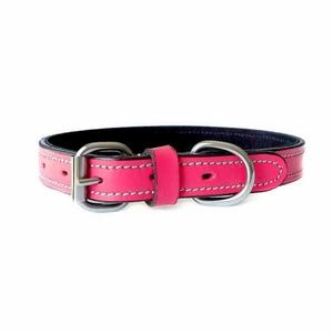 Fiesta Fuchsia