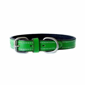 Fiesta Green