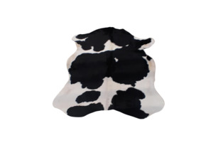 White and Black cow hide