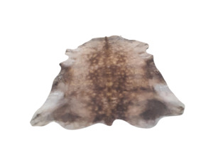 Cowhides: Murray Grey Cow Hide