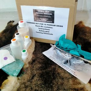 Possum Skin Tanning Kit