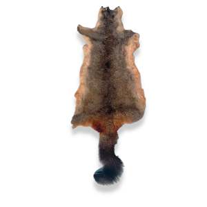Possum Skins: Grey Possum Skin 2nd Grade