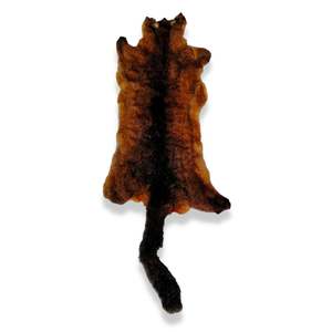 Possum Skins: Brown Possum Skin 1st Grade