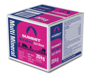 Summit Multimineral Salt Block