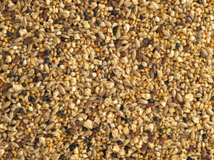Poultry And Birds: Quail Mix Per Kilogram